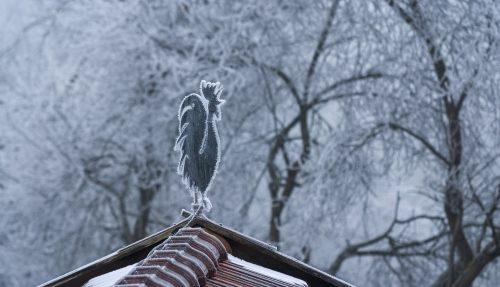 2025 12 27 Winterwetterhahn 2000px