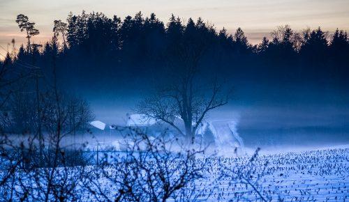 2026 01 Odelsham medium