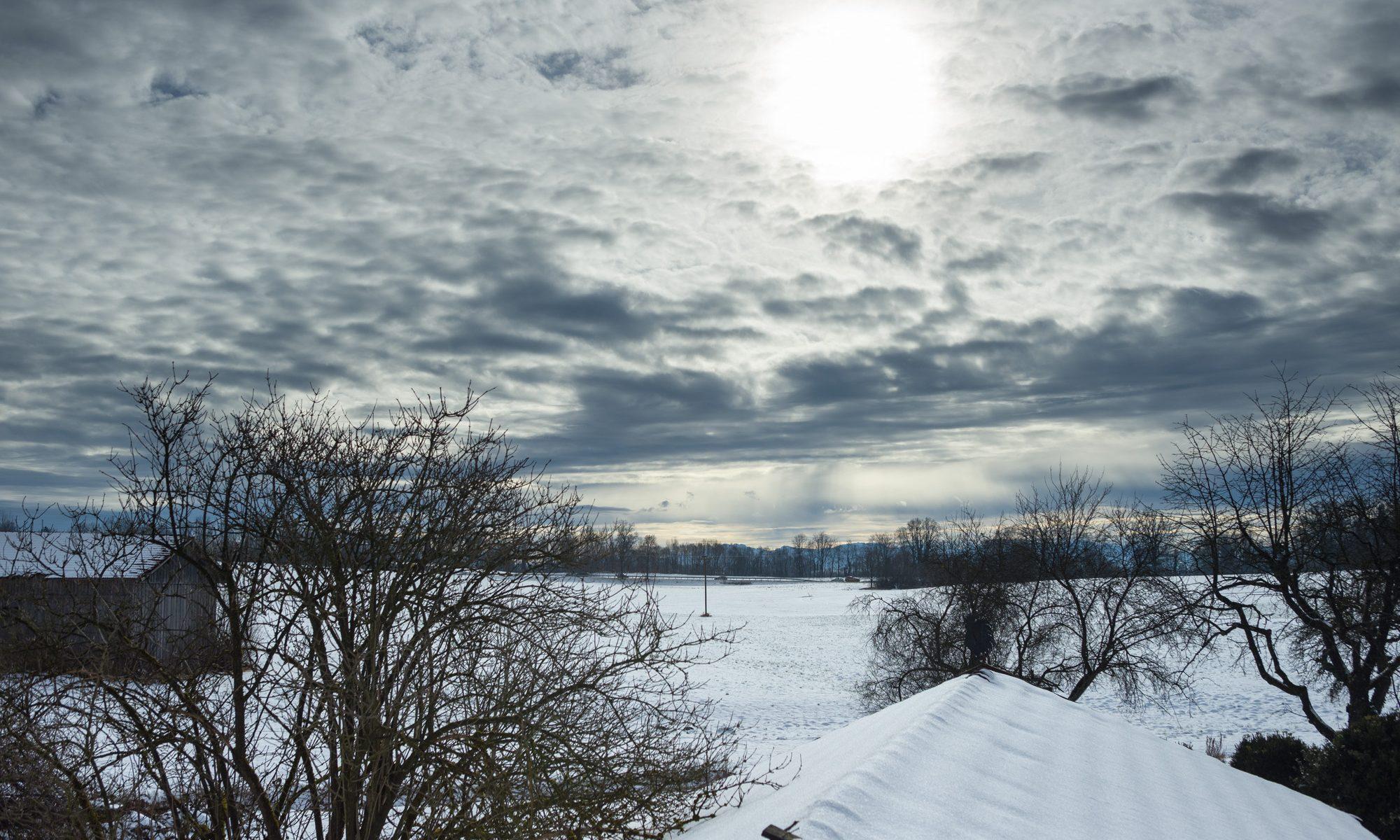 cropped Sockelleisten Aufnahmeset2